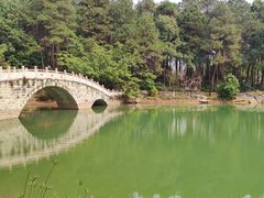 -铁山坪森林公园