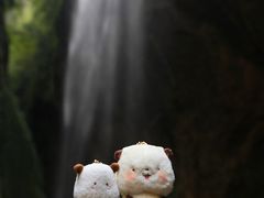 -武隆天坑地缝国家地质公园