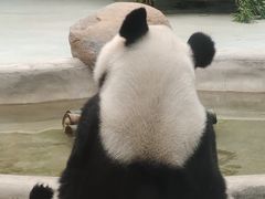 -柳州市动物园