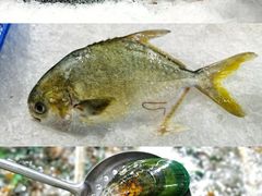 -麦德龙(浦东店)
