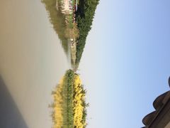 iphone_upload_pic-大湾区中央湿地公园