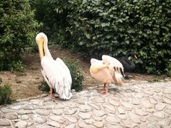 -齐齐哈尔龙沙动植物园