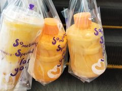 -一只酸奶牛(锦城万达天虹店)