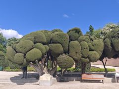 -丽池公园