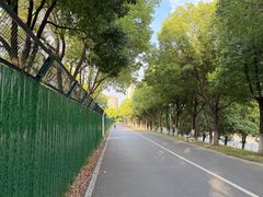 -武汉园博园(武汉自然博物馆)