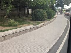 -护国寺小吃(左家庄店)