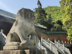 -报恩寺(平武县)