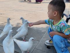 -天津妈祖文化园