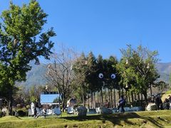 -云禾壹海景庄园餐厅
