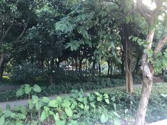 -黄埔荔枝公园