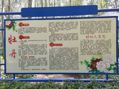 -仁和公园(顺义区)