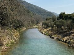 -北仑森林植物园