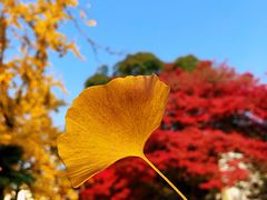 -上海市保健医疗中心(华东疗养院)
