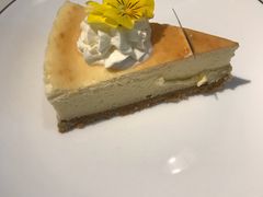 -伊斯坦布尔土耳其清真咖啡餐厅