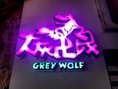 -大灰狼(中心书城店)