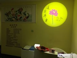 点击看大图 -莲芸拔罐减肥