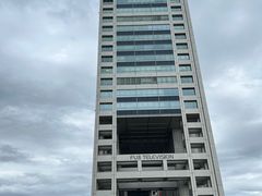 -台场海滨公园船码头