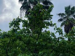 -洪湖悦兮半岛国际温泉度假村