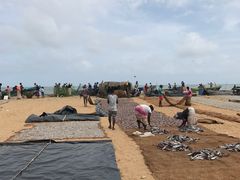 -尼甘布海鲜市场