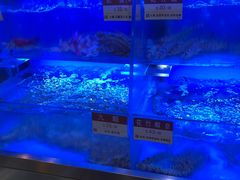 -協成海鮮火鍋(老店)