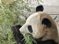 -杭州野生动物世界