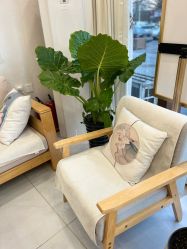 -慈蕊美容养生·专业经络调理