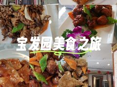-宝发园名菜馆