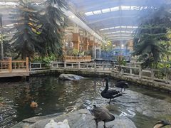 -南宫五洲植物乐园