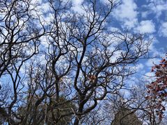 -龙洞风景区-藏龙涧