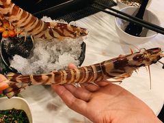 -鲜入围煮花胶鸡海鲜火锅