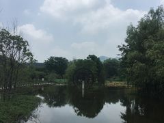 -黄陂区野村谷景区
