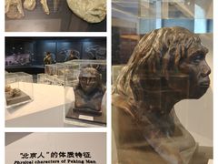 -北京周口店北京人遗址博物馆