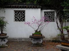 -西园戒幢律寺