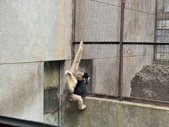 -昆明动物园