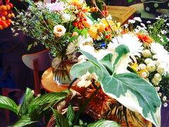 -花二家·生活馆(六运小区店)