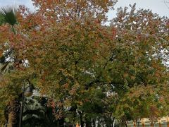 -苏州河梦清园环保主题公园