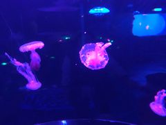 -未来战场·大空间VR·轰趴·团建(常营店)