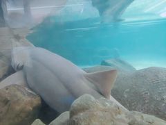 -鸿通城购物中心