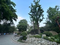 -成都欢乐谷