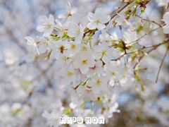 -玉山公园
