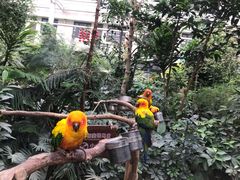 景点-南宫五洲植物乐园