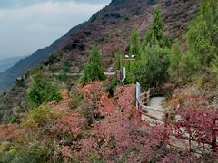 -白帝城·瞿塘峡景区