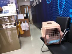 -立德动物医院·异宠·CT·鹦鹉(天河店)