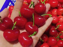 -悠然湯·汗蒸汤泉会馆