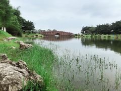 -松山湖南湖湾露营营地