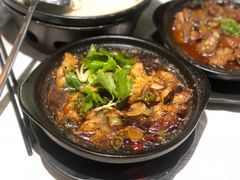藤椒鲢鱼片-陶德砂锅居(育才路店)