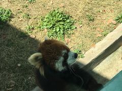 -无锡动物园·太湖欢乐园
