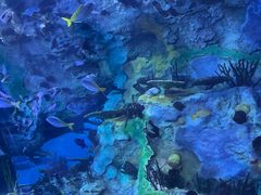 -珠海长隆海洋王国