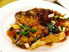 -鸿达渔港