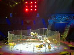 -珠海横琴长隆《卡卡虎奇遇记》